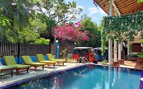 Mirissa Blue Whale Holiday Hotel